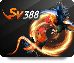 Understanding Live Casino Rules: A Guide for New Players